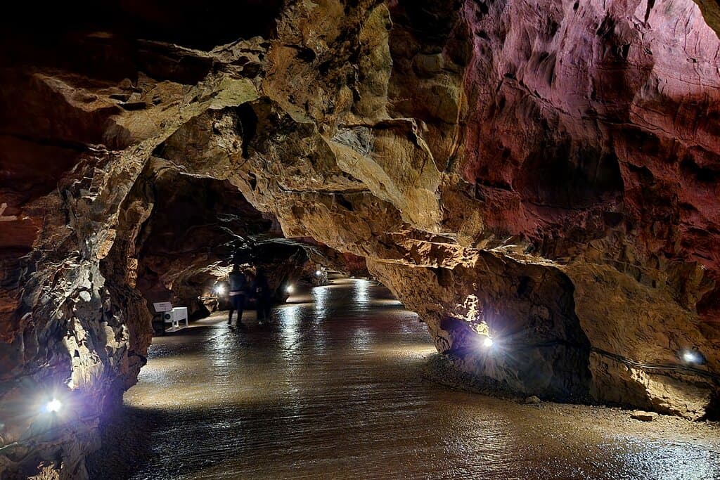 Inside Gough's Cave
