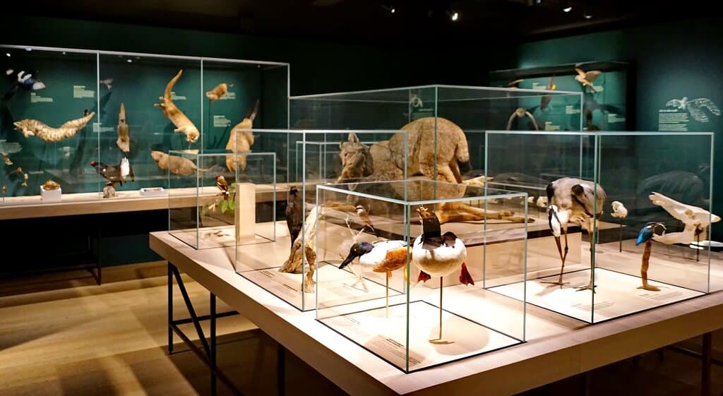 Naturhistorisches Museum