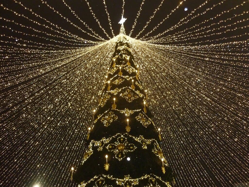 Елка под шатром