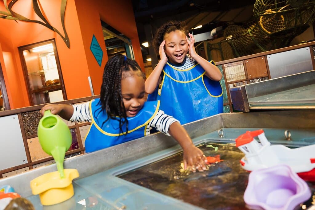 Water is an indoor river with a vortex, fountain, and Archimedes screw. Children can splash, play, and build structures to learn about how water moves.