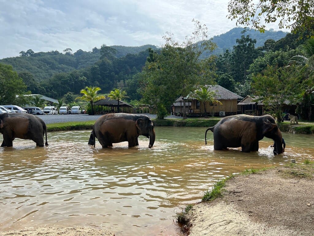 Green Elephant Sanctuary Park Phuket