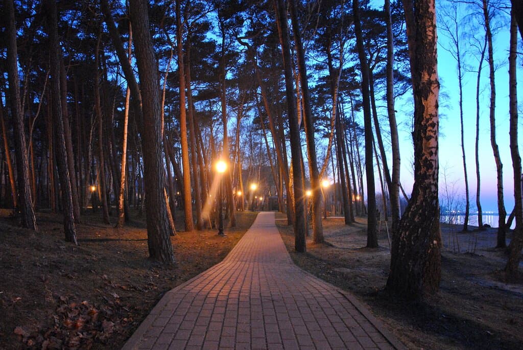 Парк Сосновый бор