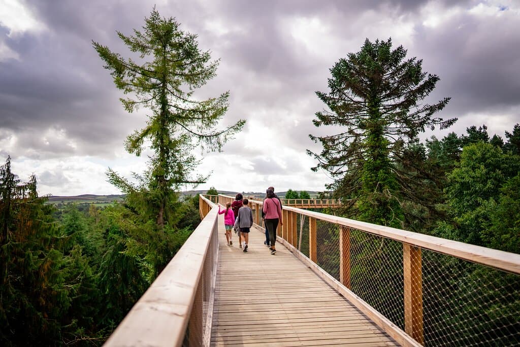 Treetop Walk at Beyond the Trees Avondale, completely accessible to all ages and abilities this unique experience above the canopy of the trees is the first of it's kind in Ireland and the UK