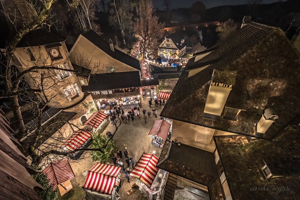 Wildenstein Castle Ruins