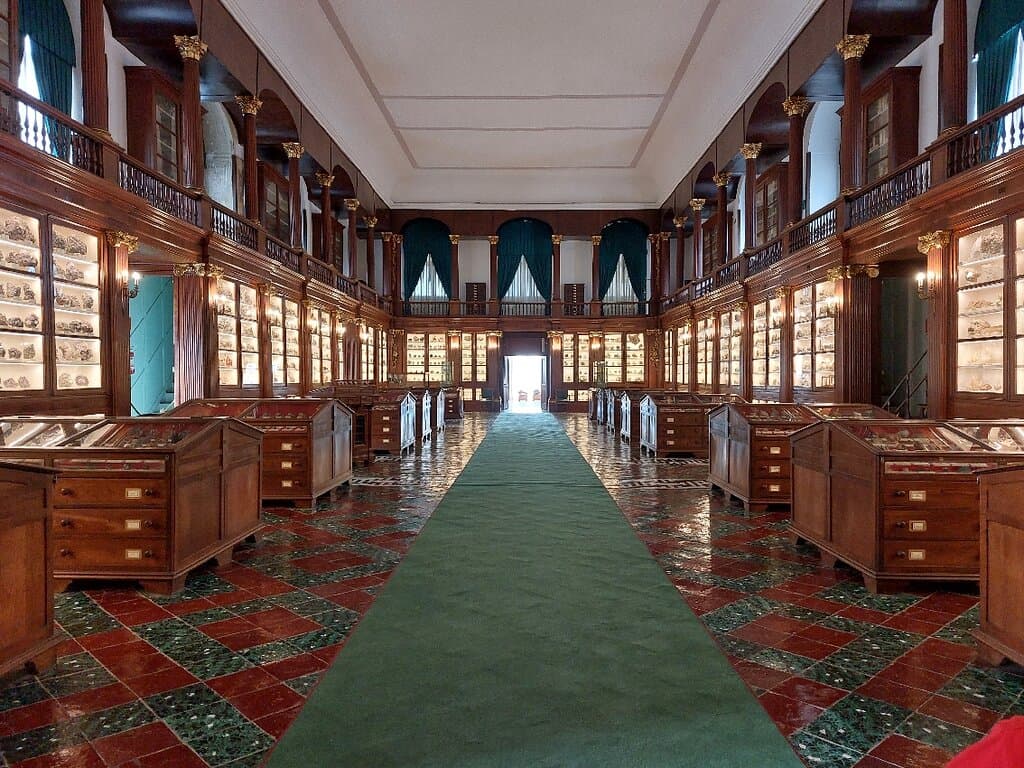 Museo di Mineralogia e Petrologia Napoli