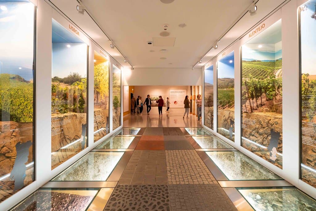 The Wine Experience Museum 