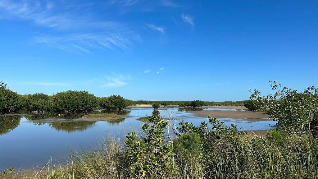 Ten Thousand Islands National Wildlife Refuge