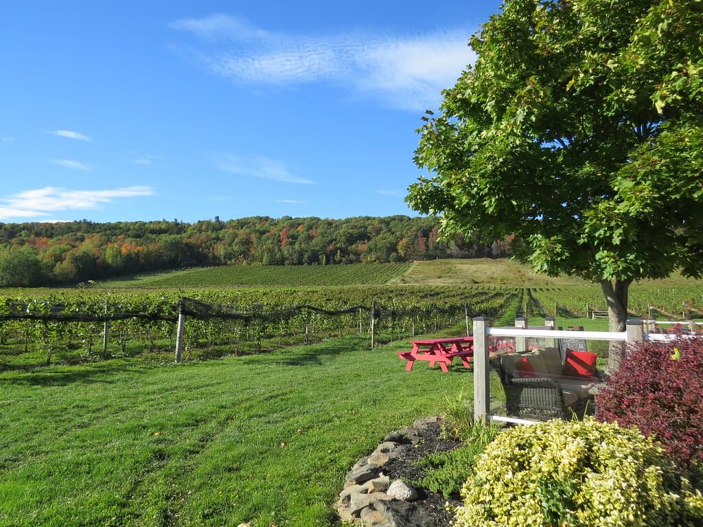 Gaspereau Vineyards, Gaspereau, Nouvelle-Écosse, Canada (octobre 2022)