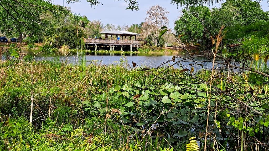 Loxahatchee Slough Natural Area PGA Blvd Trailhead