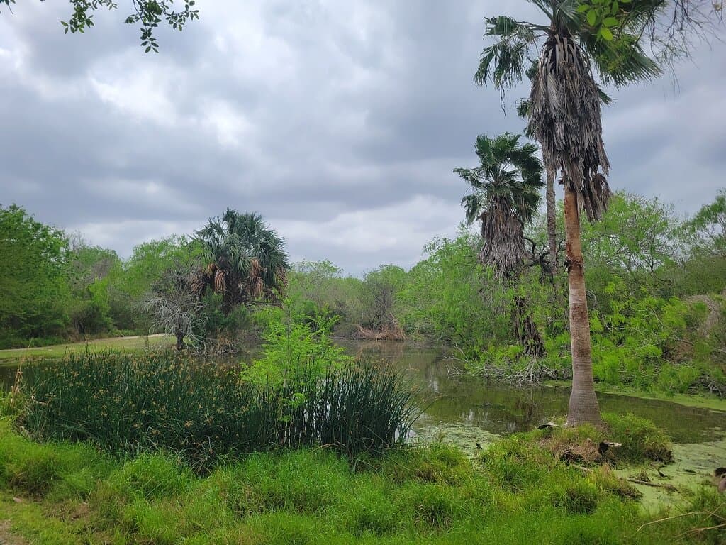 Hugh Ramsey Nature Park