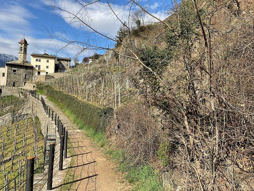 Via dei Terrazzamenti Tirano