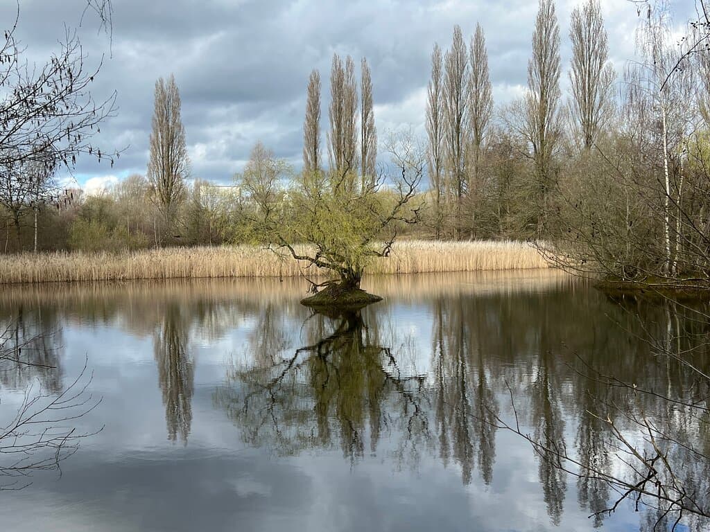 Lake