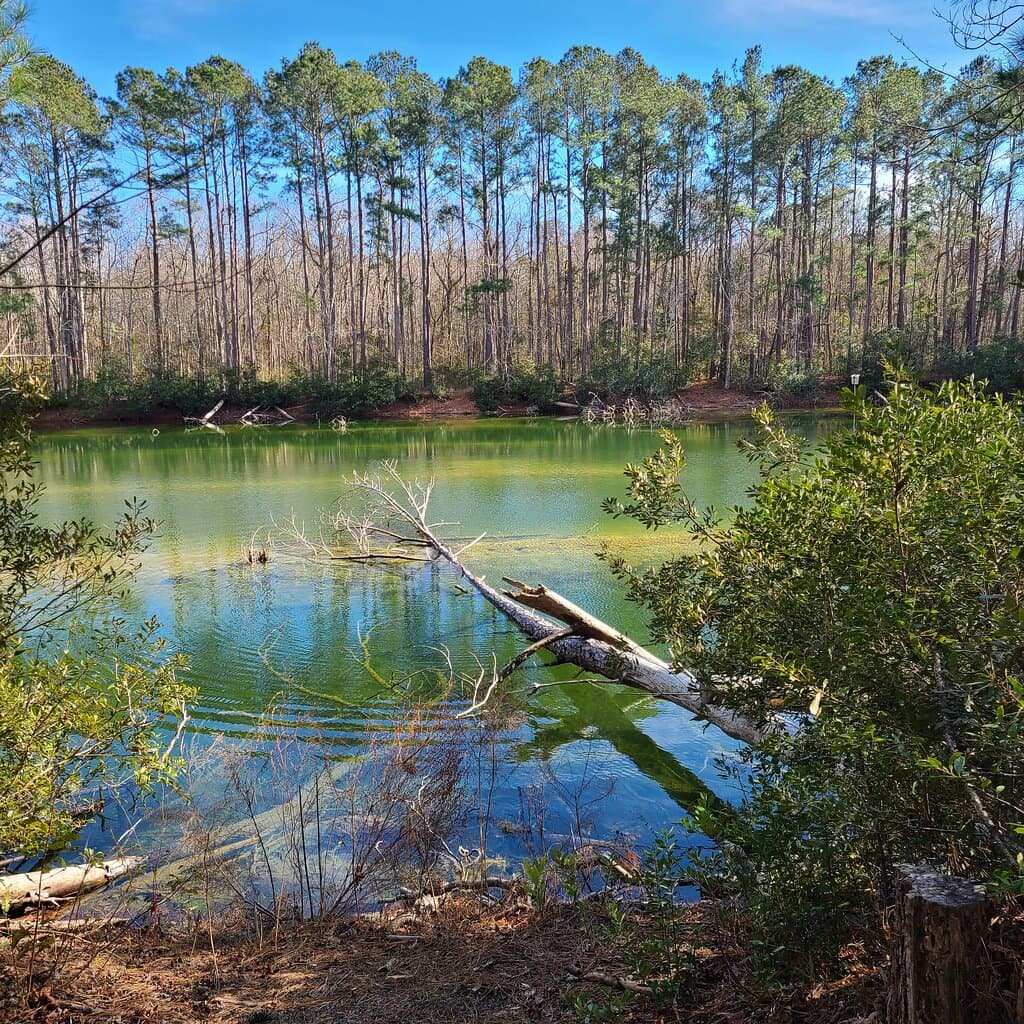 Sewee Visitor and Environmental Education Center