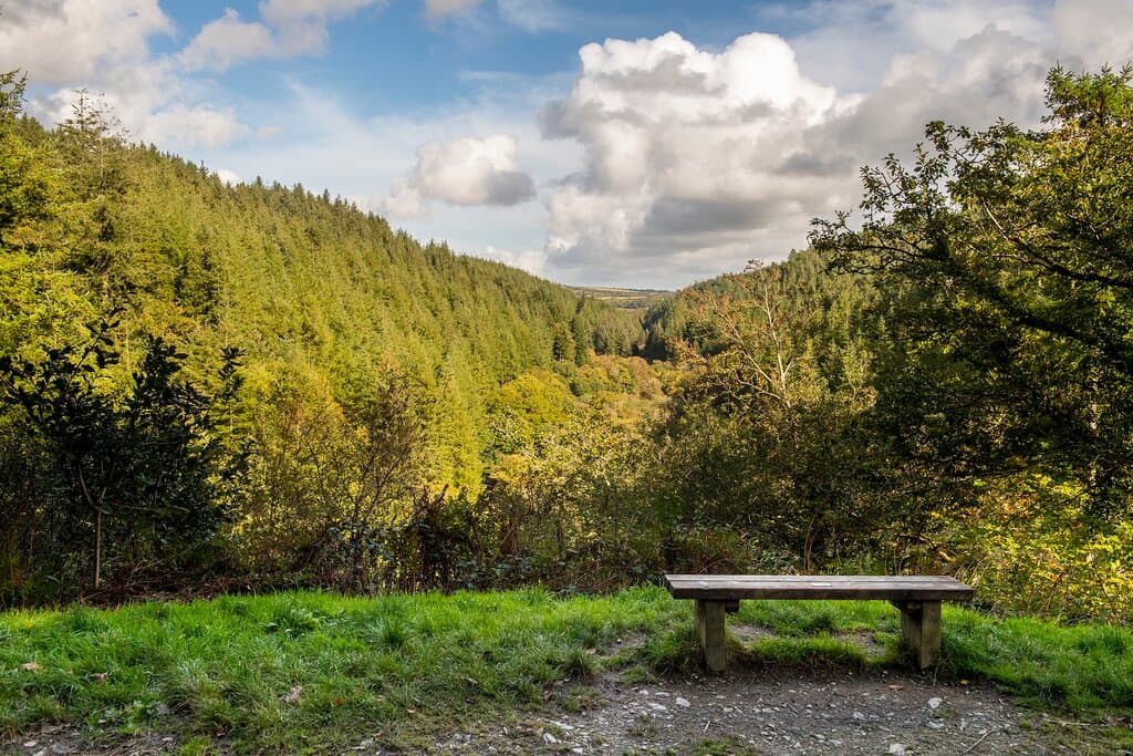 Viewpoint looking along Cardinham valley