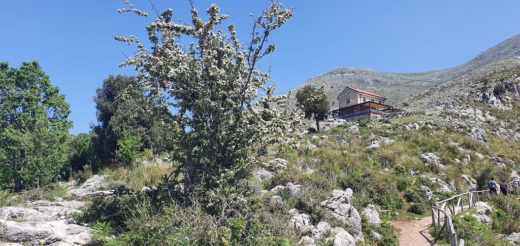 Primavera al Rifugio