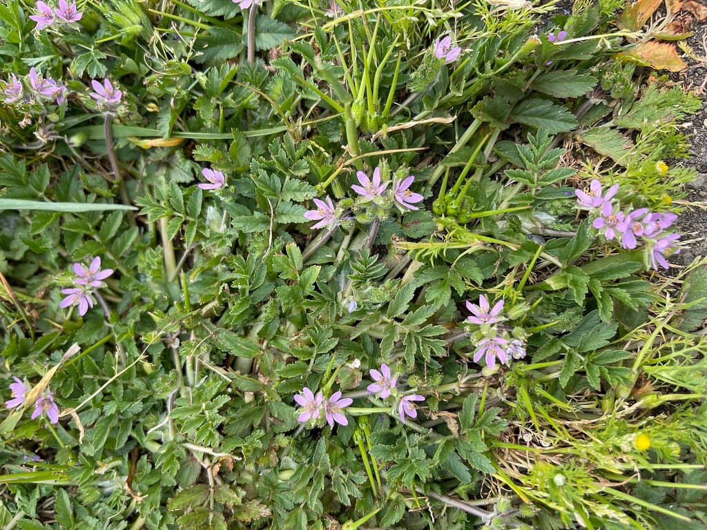 Tolay Lake Regional Park