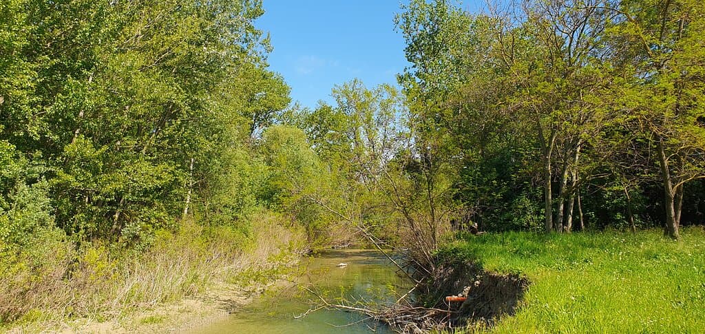Parco Fluviale del Montone