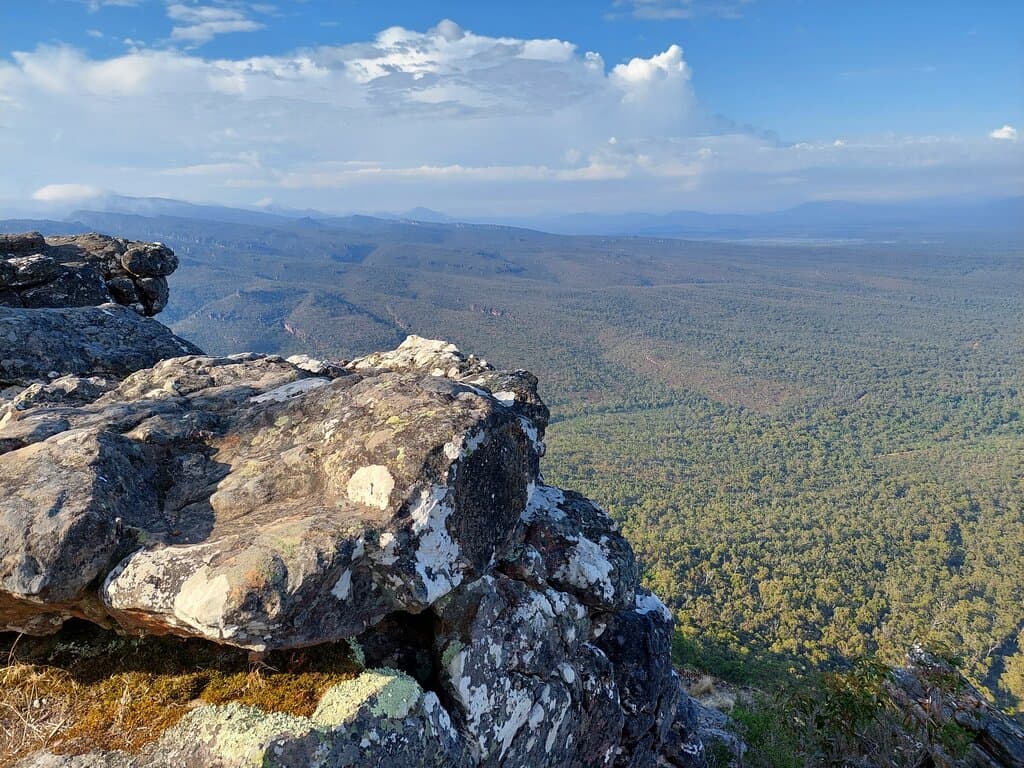View from Reed Lookout