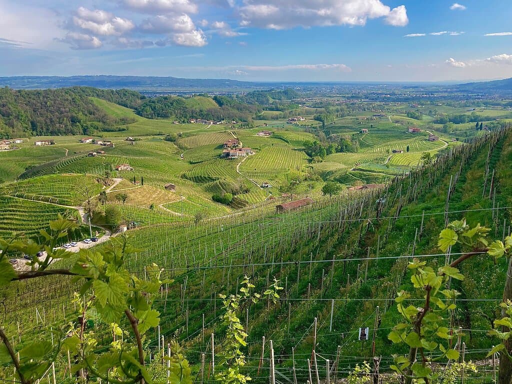 Col Vetoraz Winery and Belvedere