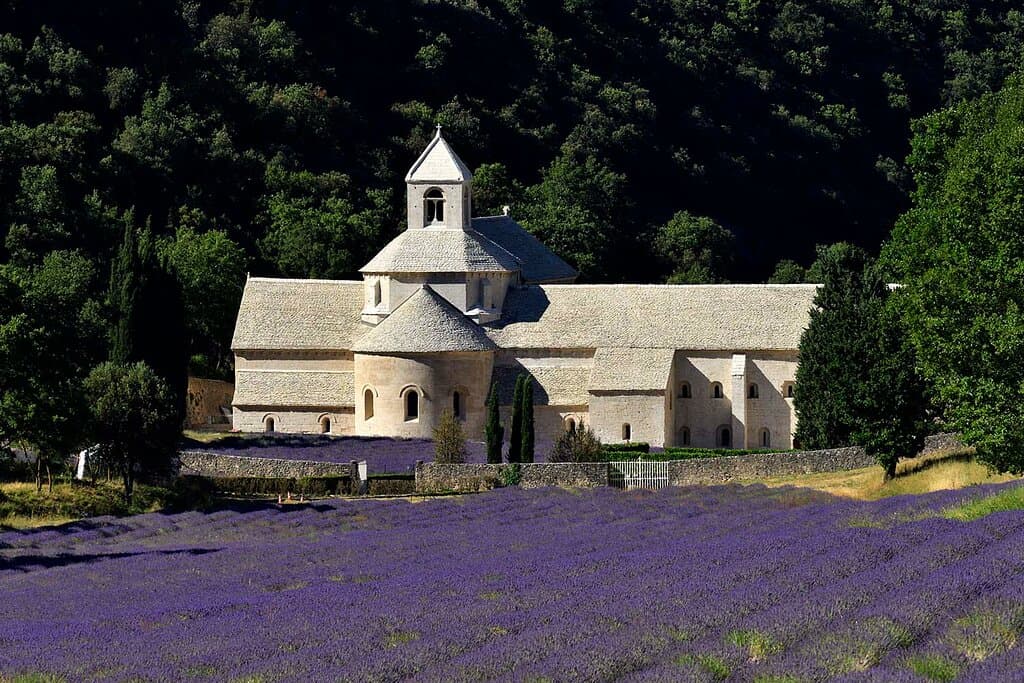 L'abbaye de Sénanque, entourée de ses champs de lavande