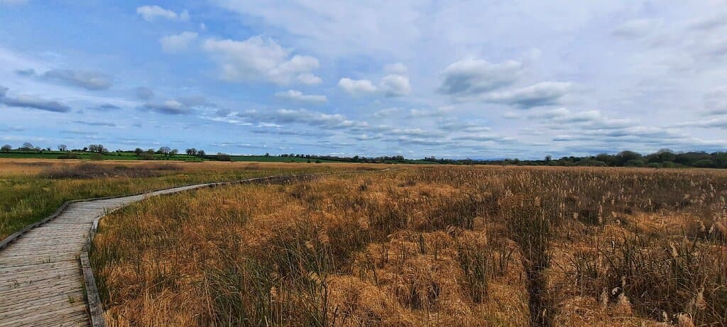 Pollardstown Fen