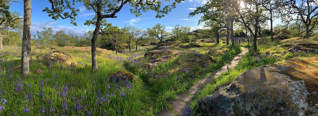 Christmas Hill in the Spring. 