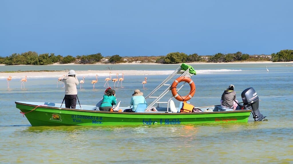 Respetando la distancia para no perturbar 