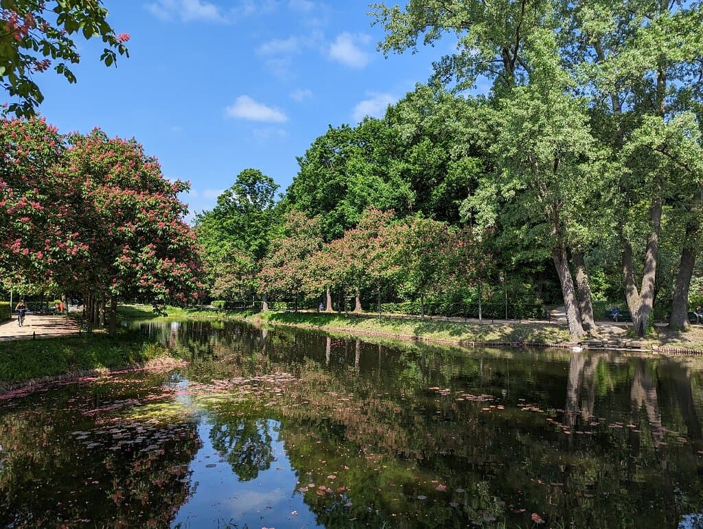 Take a Winter Walk in Tiergarten