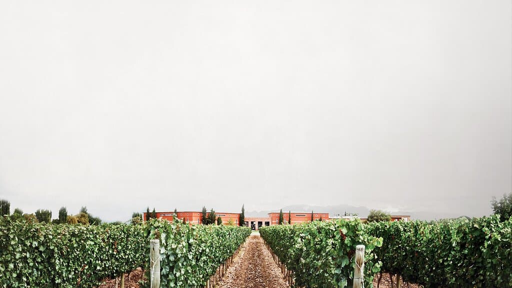 Bodega Ruca Malen