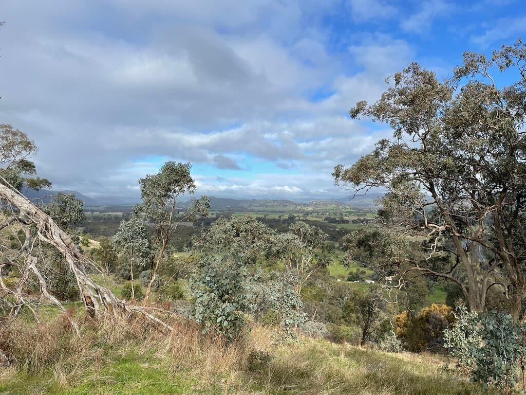  Balmattum Hill Walking Track