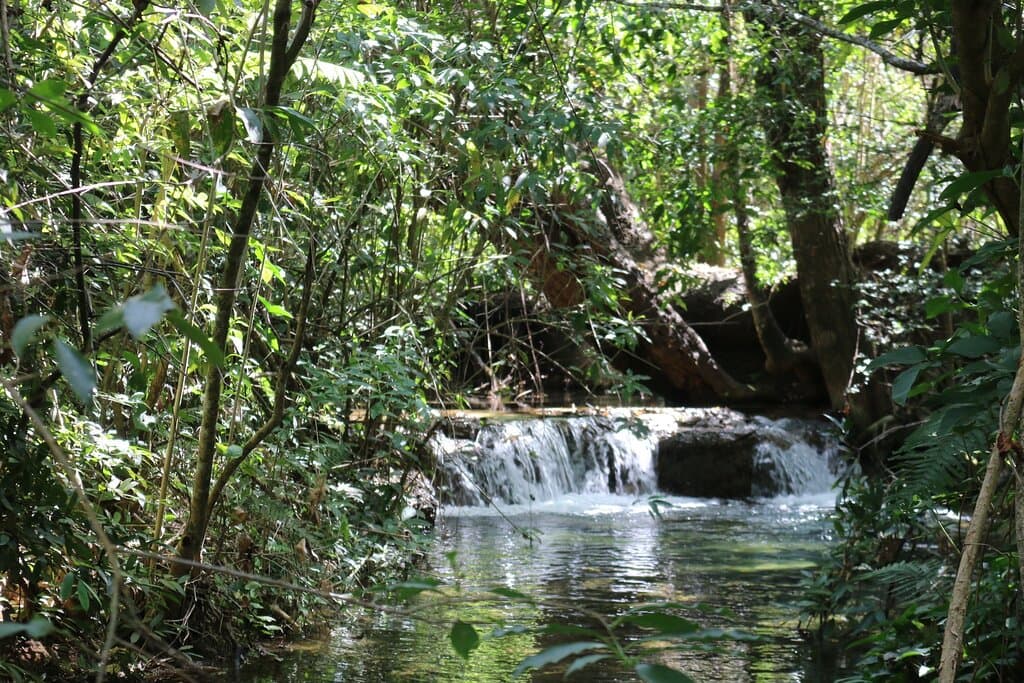 Parque Estadual da Lapa Grande