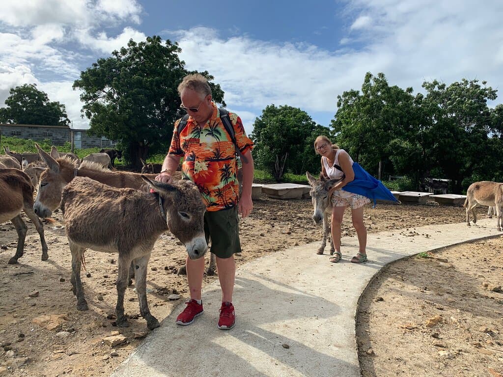 Antigua & Barbuda Humane Society Donkey Sanctuary