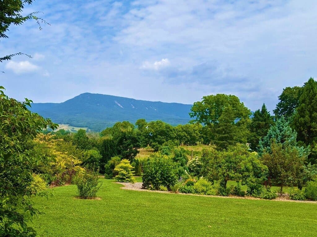 Love those Mountain Views!