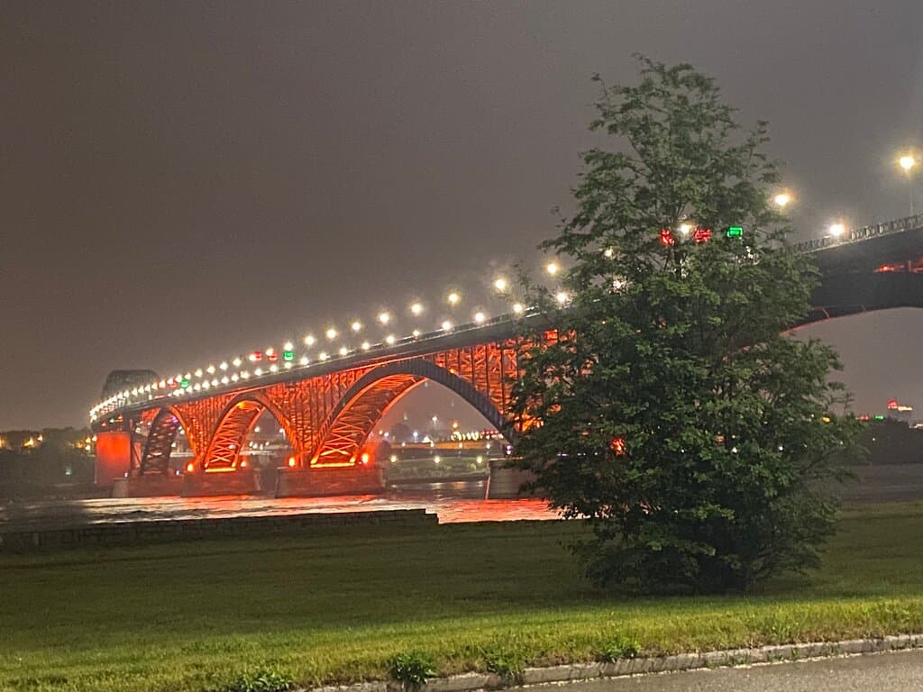 Jarvis Street Murals