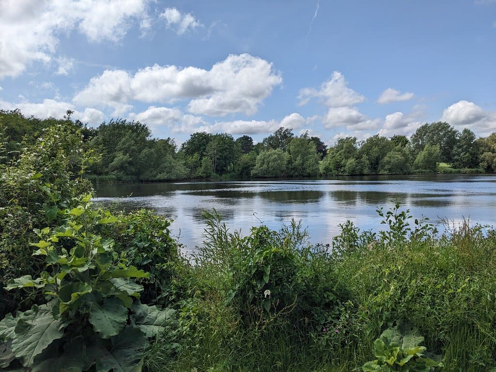 Mote Park Maidstone
