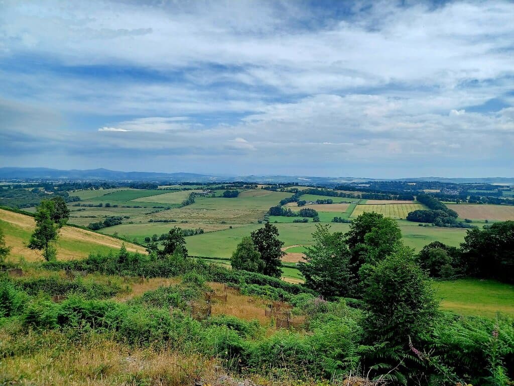 Mabie Forest 7stanes