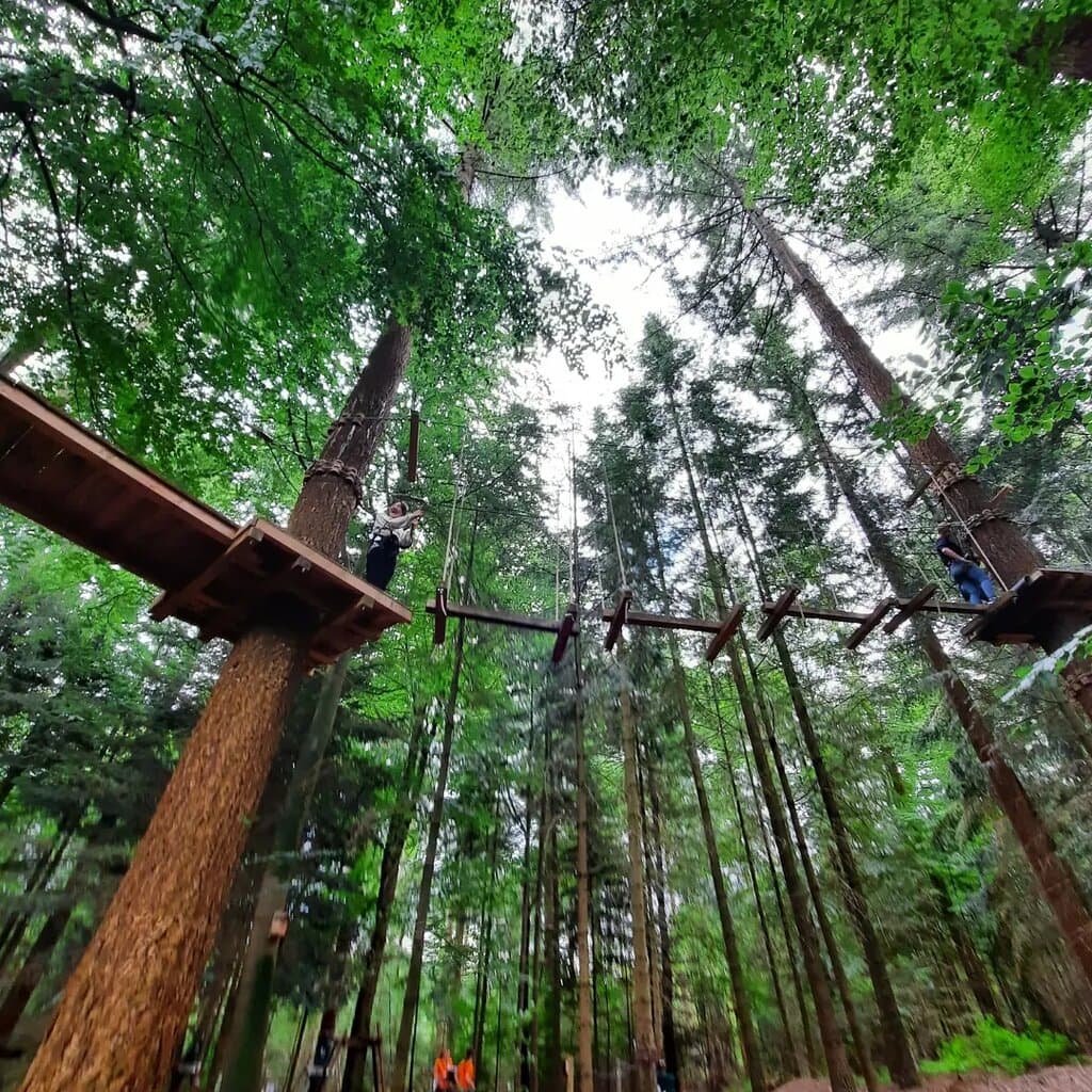 Klimbos Veluwe Apeldoorn