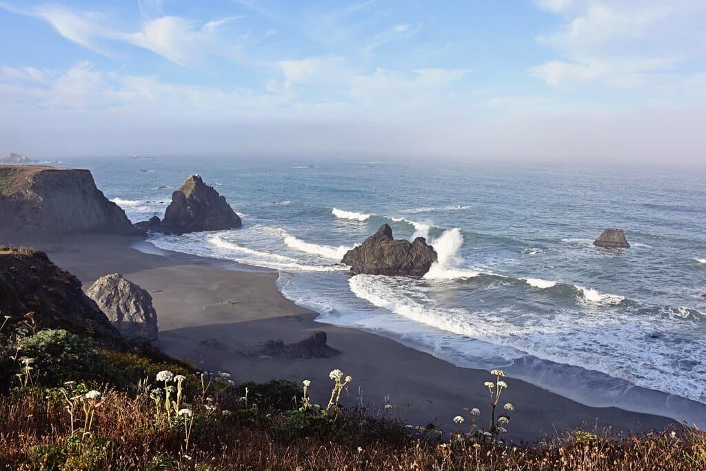 Shell Beach