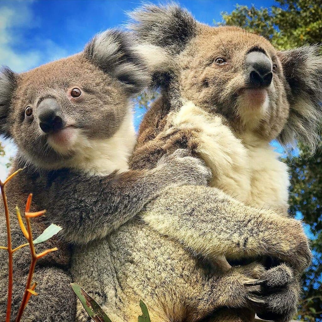 Look mum who are those people looking at us