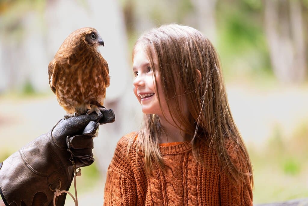 Bird of prey encounter