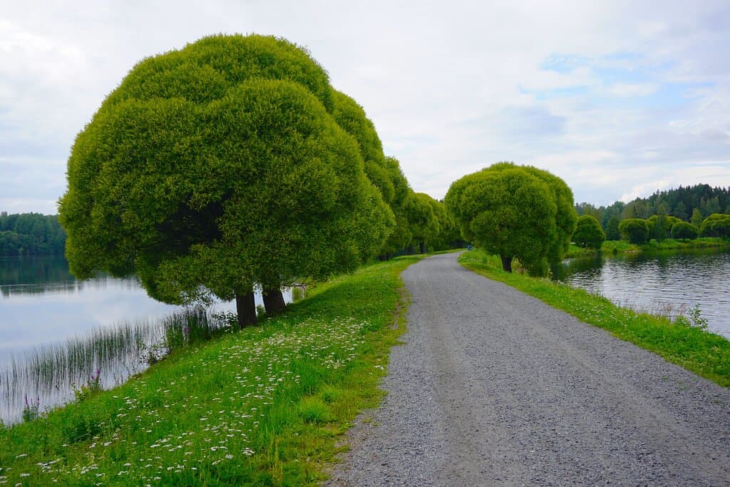 Mellonlahti nature trail, Imatra, Finland