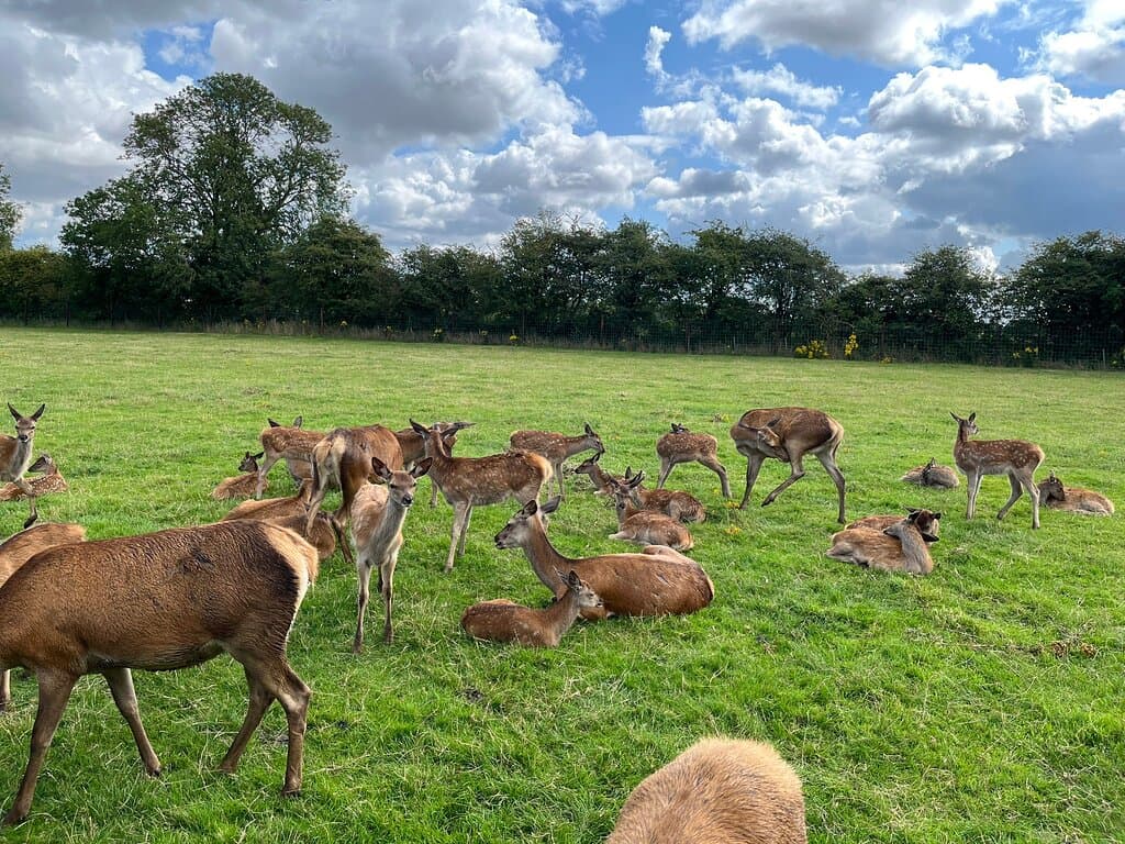 Snettisham Park