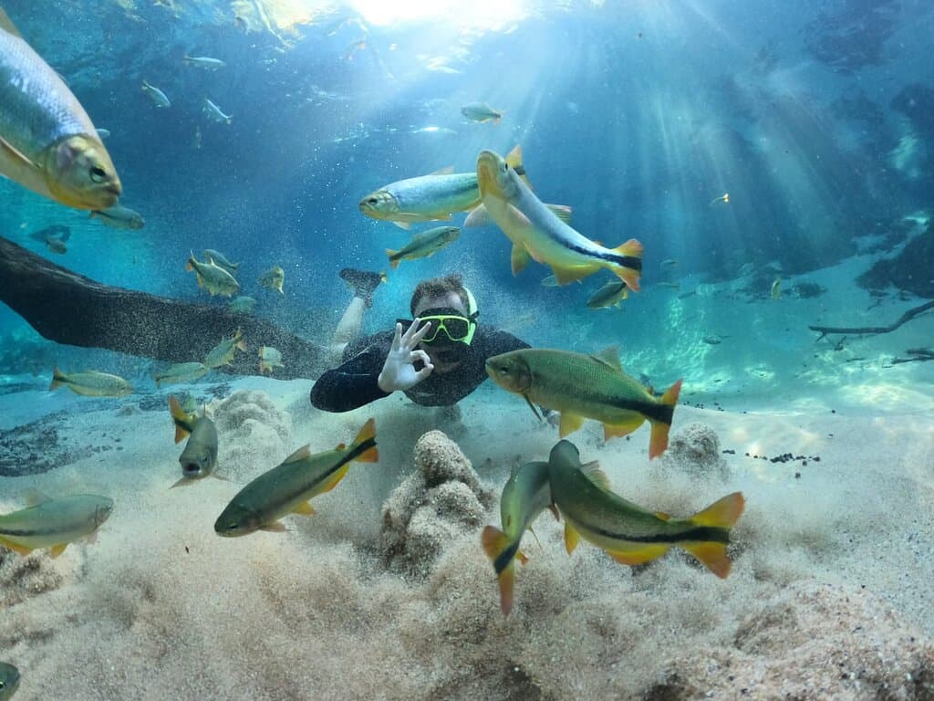 Recanto_Ecologico_Rio_da_Prata