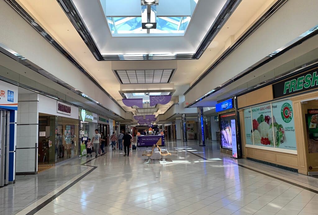 Lansdowne is a proverbial beehive of activity