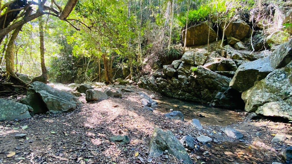 Airlie Creek Track
