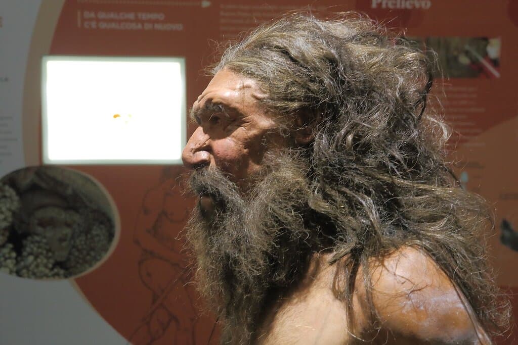 Riproduzione iperrealistica dell'Uomo di Altamura