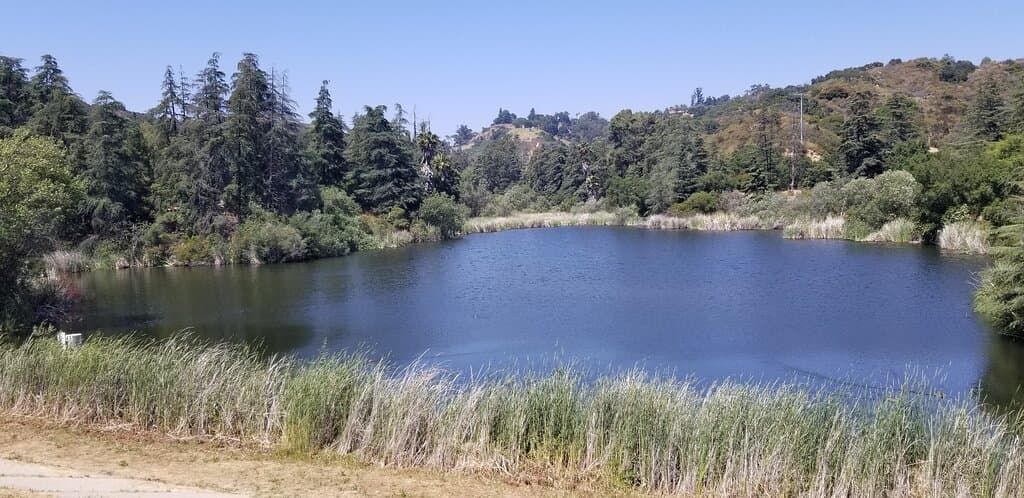 Explore Franklin Canyon Park