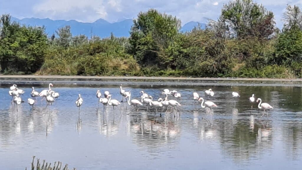 Valle Canal Novo Reserve