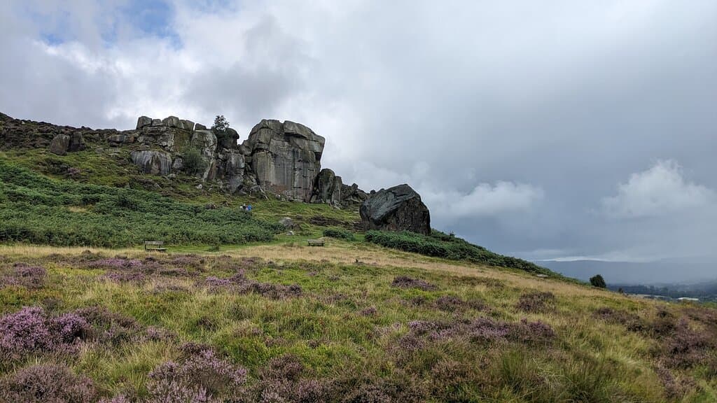 Moor Cow & Calf Rocks