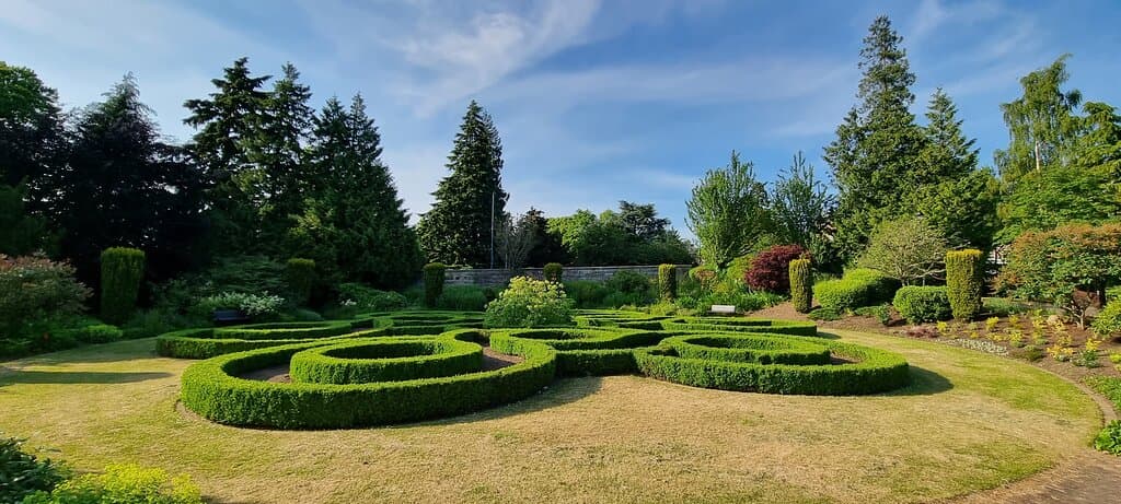 The garden.